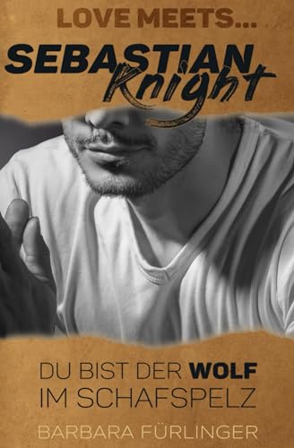 Love Meets… Sebastian Knight: Du bist der WOLF im Schafspelz (Love Meets Haupthandlung, Band 5)