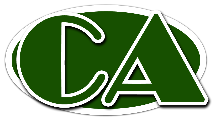 Logo-City-Armadillos