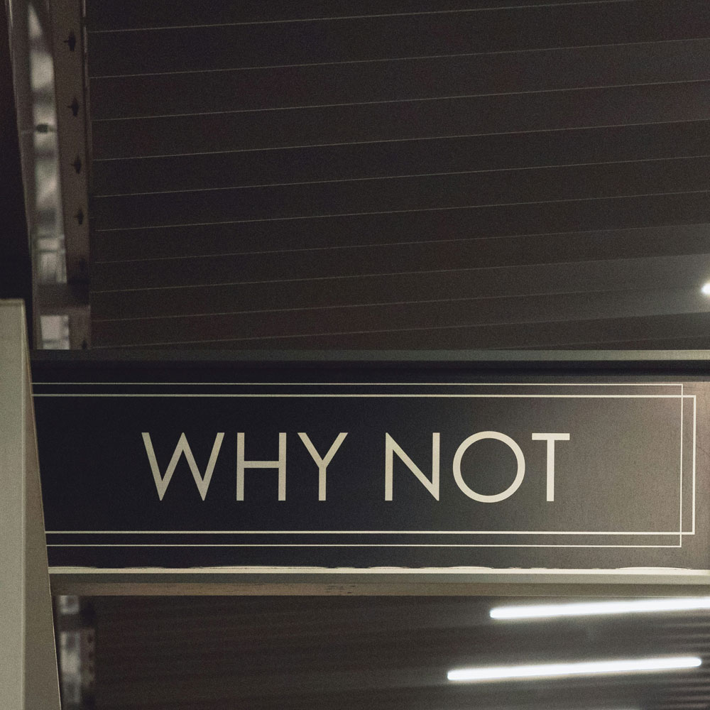 J4sper-Why-Not