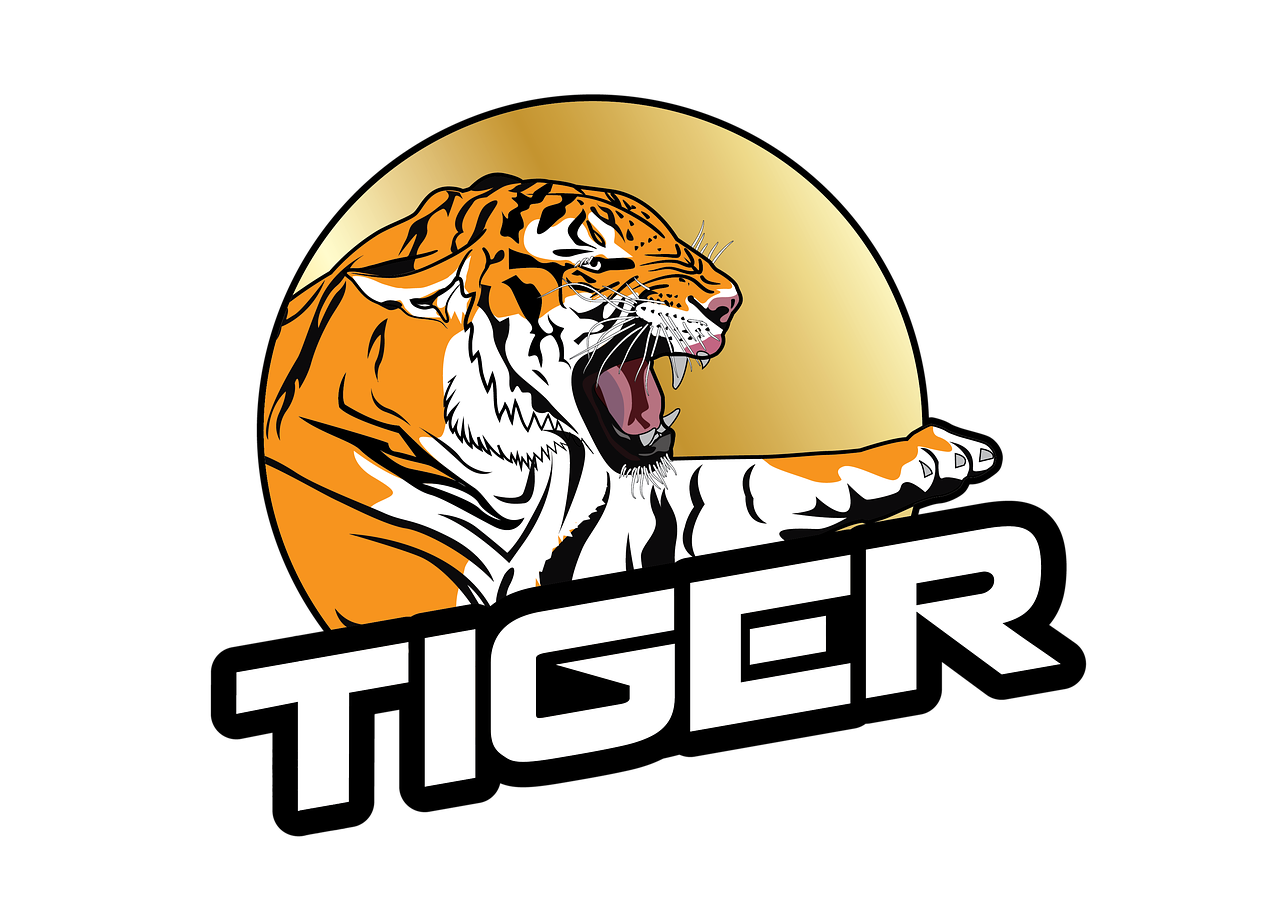 Logo-Tiger-Boards