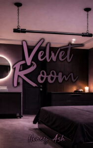 Velvet Room Cover