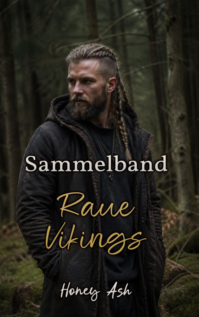 Sammelband Raue Vikings Cover